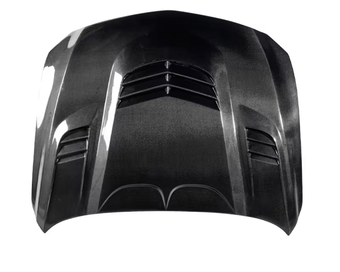 CT5 V CARBON FIBER HOOD