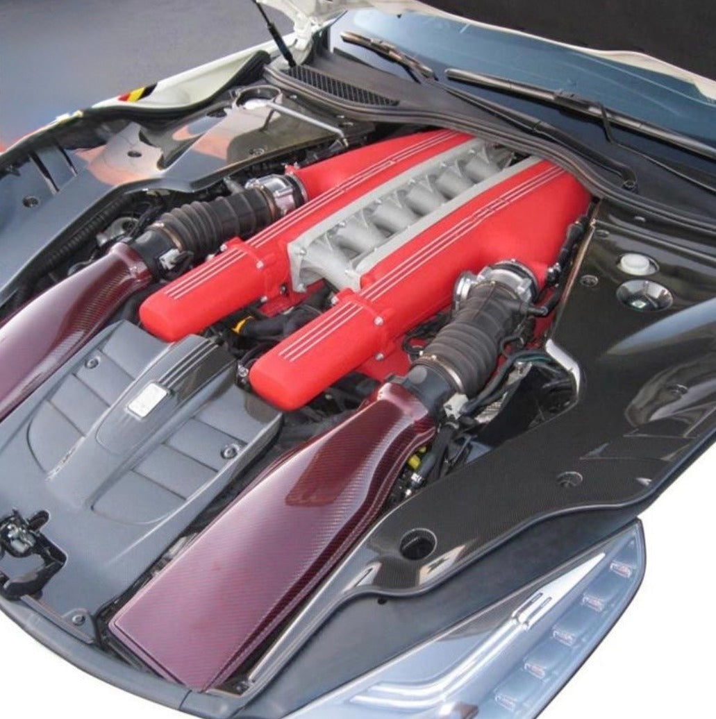 Ferrari F12 Carbon Side Engine Bay Trim